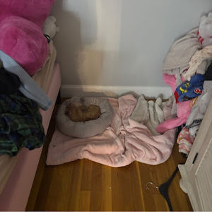 Meet your Posher, Anya